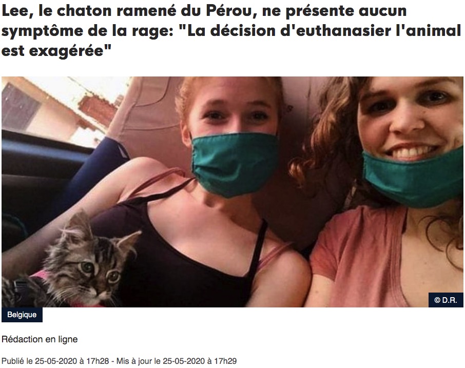 Vu sur la DHnet: Lee, le chaton ramené du Pérou, ne présente aucun symptôme de la rage: « La décision d’euthanasier l’animal est exagérée »